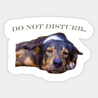 cool and funny dog Sticker